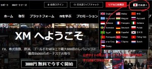 日本語対応